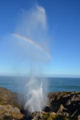 Bufon con arco iris