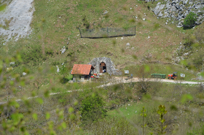 fonicular