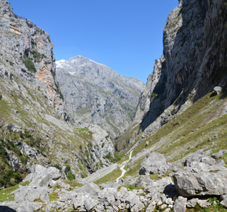 Canal del tejo salida