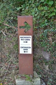 rio cabra