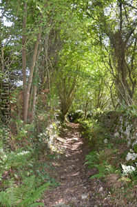 siguiendo al rio cabra